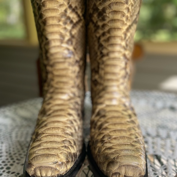 Rare Python Sendras - Picture 6 of 12